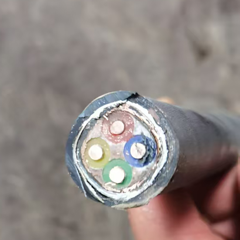WDZN-YJGFP22 4×4mm² 低烟无卤特种铠装屏蔽电缆